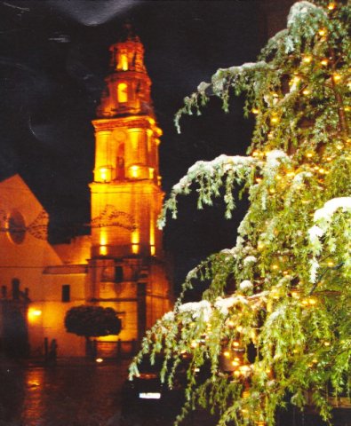 Torre e Iglesia S. FRANCISCO (3)